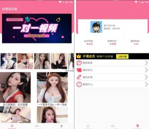 【暗雷跳蹬max】12月最新暗雷跳蹬max带WIN挂机端+搭建视频教程丨黑盾网络资源网-互联网分享平台丨源码交易丨源码下载丨技术教程丨架设教程丨端游源码丨页游源码丨手游源码…