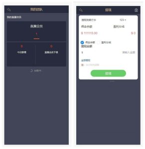 【金手指股票配资微交易】股票配资微交易+虚拟股票交易程序源码+转载分享丨黑盾网络资源网-互联网分享平台丨源码交易丨源码下载丨技术教程丨架设教程丨端游源码丨页游源码丨手游源码…