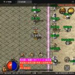 【战神引擎】秋风沉默逍遥迷失独家修复版[白猪2.0]+视频教程+GM物品充值后台丨黑盾网络资源网-互联网分享平台丨源码交易丨源码下载丨技术教程丨架设教程丨端游源码丨页游源码丨手游源码…