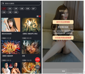 最新打赏系统云赏8.2 包天月季年视频打赏会员版 /影视付费系统 内置支付接口丨黑盾网络资源网-互联网分享平台丨源码交易丨源码下载丨技术教程丨架设教程丨端游源码丨页游源码丨手游源码…