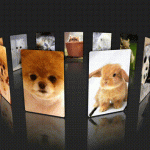 520表白html实现3D动态相册,换成女朋友照片丨黑盾网络资源网-互联网分享平台丨源码交易丨源码下载丨技术教程丨架设教程丨端游源码丨页游源码丨手游源码…