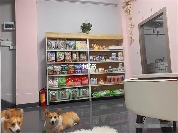 图片[6]丨2023年将会有那些风口？丨黑盾网络资源网-互联网分享平台丨源码交易丨源码下载丨技术教程丨架设教程丨端游源码丨页游源码丨手游源码…